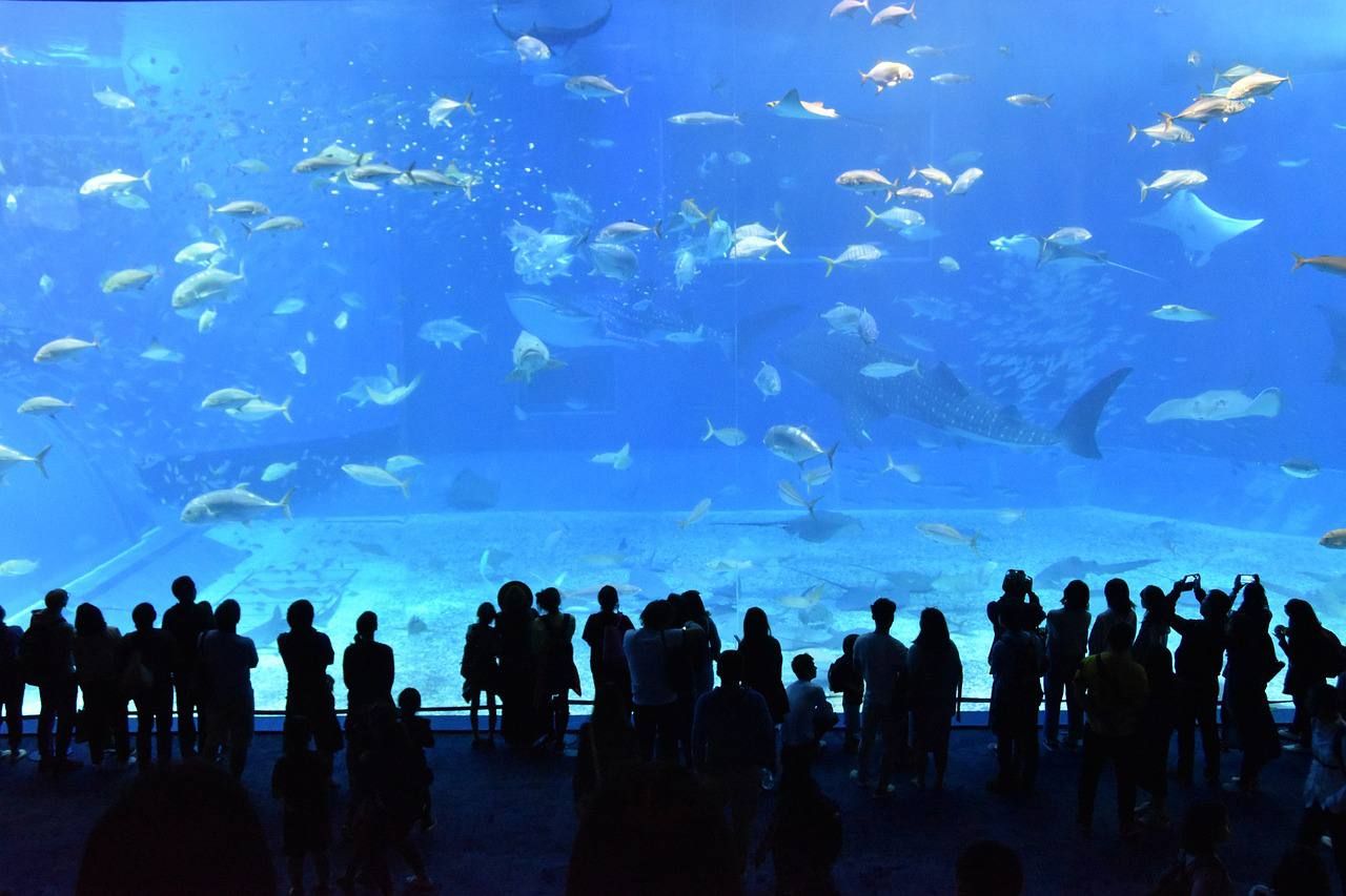 Antalya Aquarium 