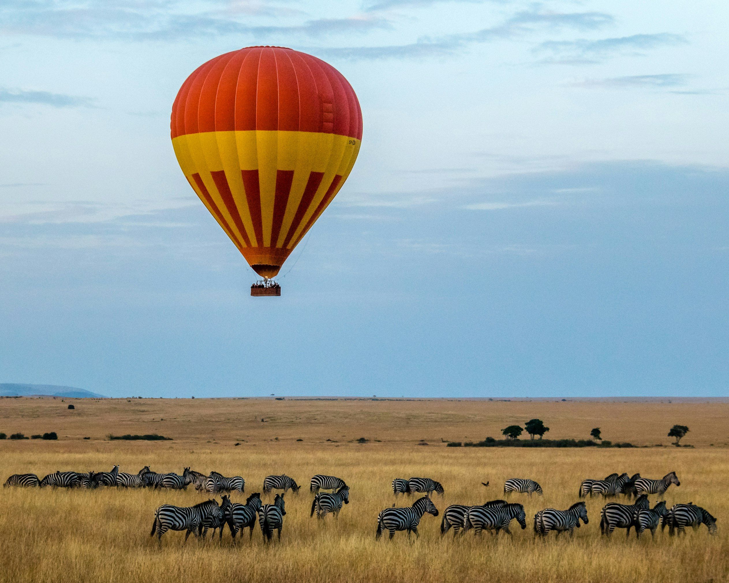 Sabi Sands Game Reserve