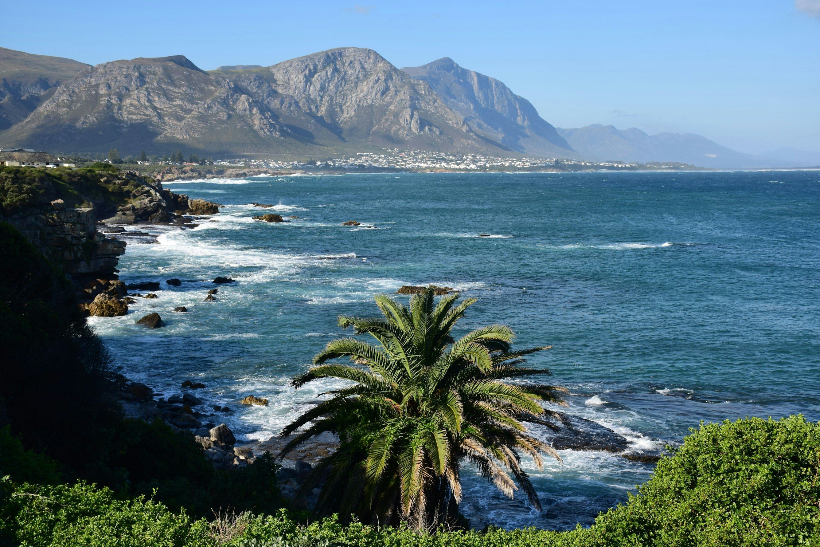 Hermanus