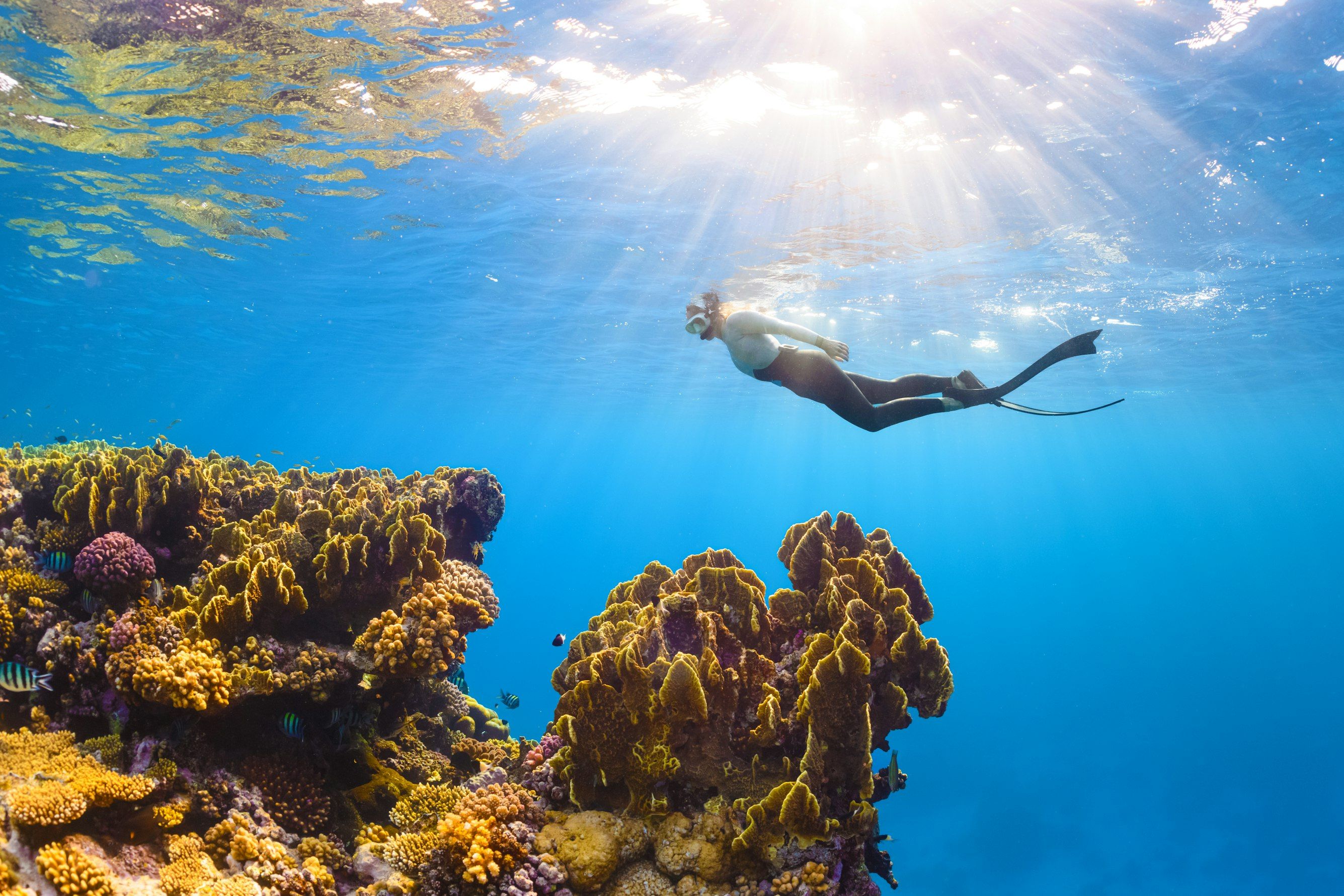 Snorkeling in Egypt 