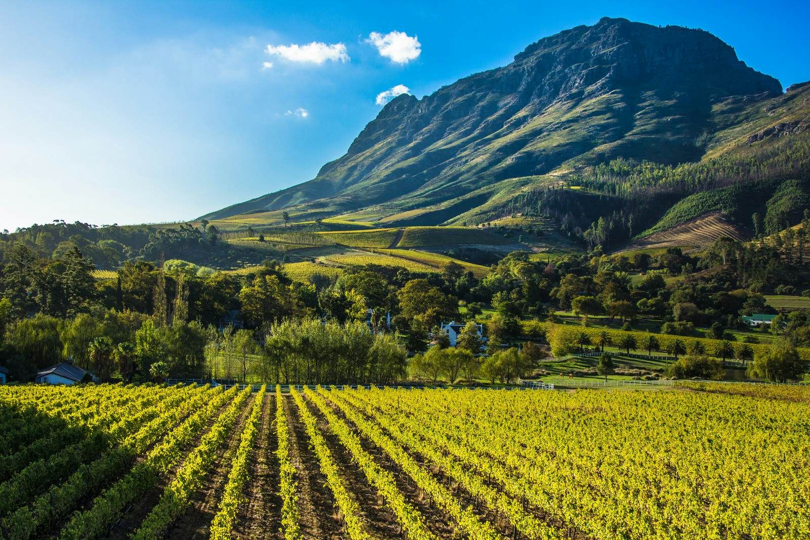 The Winelands